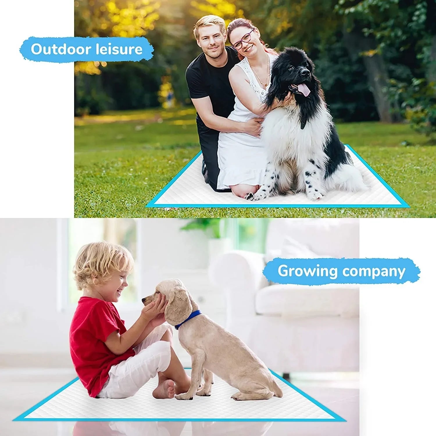 Disposable Pet Pee Pads