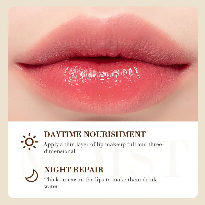 Coconut Lip Balm  Natural Daily Care Moisture for soft and nourished lips with coconut oil benefits. Coconut Lip Balm Natural Daily Care Moisture for soft and nourished lips with coconut oil benefits.
